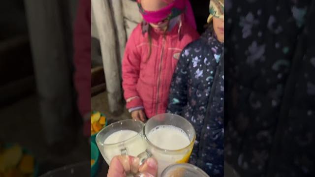 Лайфхак с коровой! Лайфхак с коровой!