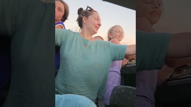 У кого что видно из окна? У кого что видно из окна?