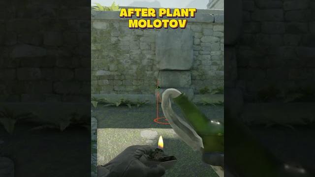Molotov for After Plant Molotov for After Plant