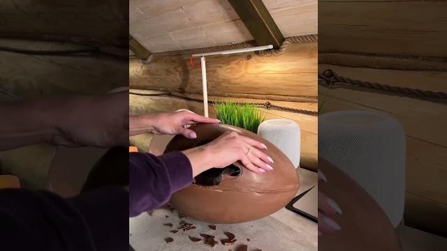 Самый большой Kinder Сюрприз Самый большой Kinder Сюрприз