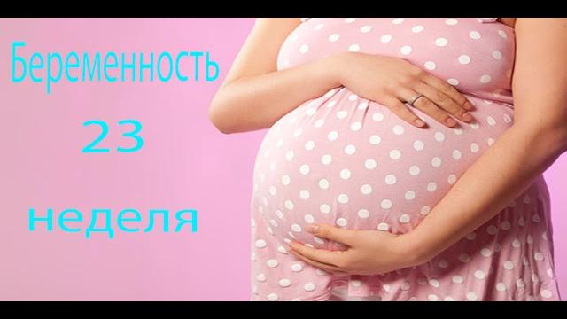 23 НЕДЕЛЯ БЕРЕМЕННОСТИ 23 НЕДЕЛЯ БЕРЕМЕННОСТИ