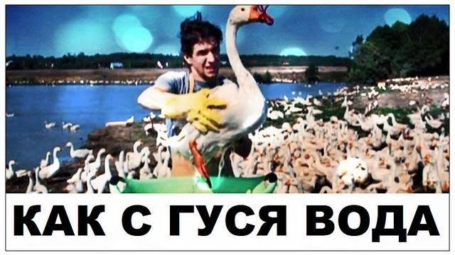 Галилео. Как с гуся вода Галилео. Как с гуся вода