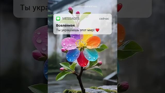У вас одно новое сообщение У вас одно новое сообщение