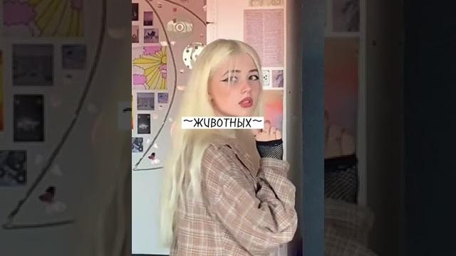 что можно снимать в ютуб без лица что можно снимать в ютуб без лица