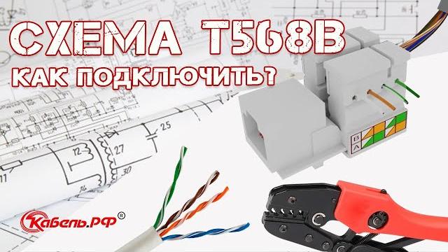 Витая пара. Обжим витой пары. Схема T568B Витая пара. Обжим витой пары. Схема T568B