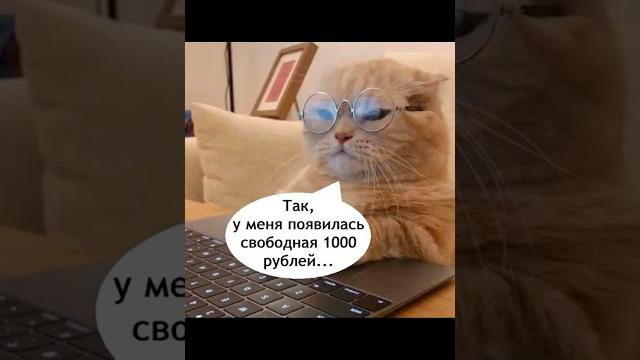 Мем про инвестиции Мем про инвестиции