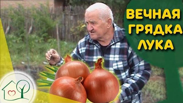 Бублик Б.А. Вечная грядка лука Огород без хлопот Бублик Б.А. Вечная грядка лука Огород без хлопот