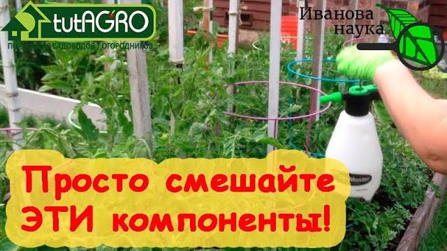 ОТ ЭТОГО УДОБРЕНИЯ РАССАДА КРЕПКАЯ и УРОЖАЙ СРАЗУ В 2 РАЗА БОЛЬШЕ. Борный эликсир "ТРИ КИСЛОТЫ". ОТ ЭТОГО УДОБРЕНИЯ РАССАДА КРЕПКАЯ и УРОЖАЙ СРАЗУ В 2 РАЗА БОЛЬШЕ. Борный эликсир "ТРИ КИСЛОТЫ".
