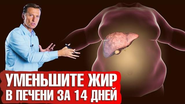 Как уменьшить жир в печени за 2 недели на 50% Как уменьшить жир в печени за 2 недели на 50%