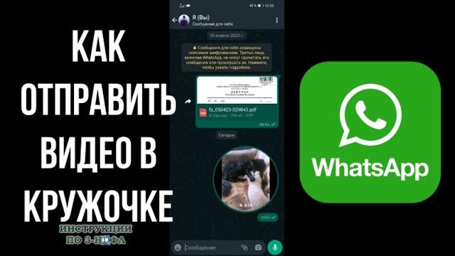 Как отправить Видеосообщение в кружочке в ватсапе, как сделать видео в кружочке в Whatsapp Как отправить Видеосообщение в кружочке в ватсапе, как сделать видео в кружочке в Whatsapp