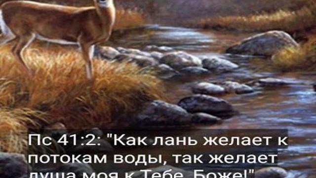 Как к источнику лань Как к источнику лань