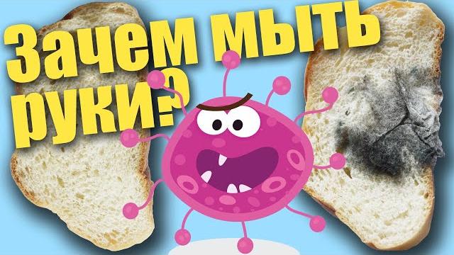 Зачем мыть руки - проект для детей Зачем мыть руки - проект для детей
