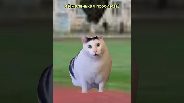 #жиза #кот #котики #рекомендации #мемы #catmemes #прикол #фрет #майнкрафт #ъуъ #хзчёписать #жиза #кот #котики #рекомендации #мемы #catmemes #прикол #фрет #майнкрафт #ъуъ #хзчёписать