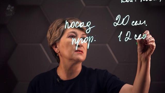 Процентное отношение двух чисел. 6 класс. Процентное отношение двух чисел. 6 класс.