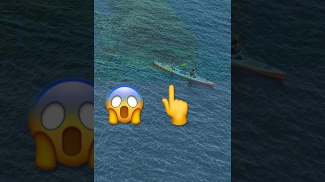 Megalodon Shark Attack #meg3 Simulation Megalodon Shark Attack #meg3 Simulation