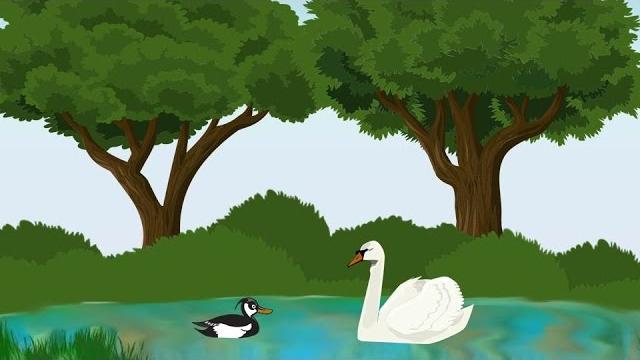 Птицы. Развивающие мультики. Энциклопедия для детей Птицы. Развивающие мультики. Энциклопедия для детей