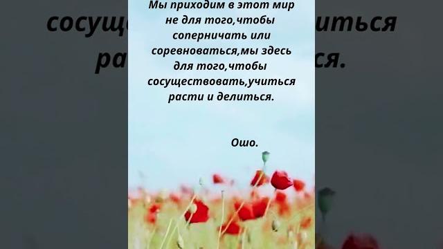 Лучшие Цитаты, которые придают жизни смысл Афоризмы на века! #стихи #цитаты #любовь высказывания Лучшие Цитаты, которые придают жизни смысл Афоризмы на века! #стихи #цитаты #любовь высказывания