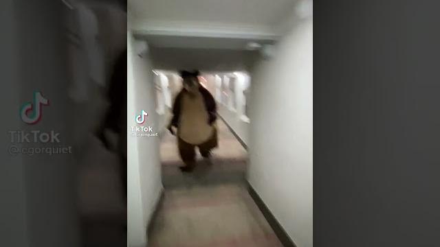 POV: за тобой бежит медведь POV: за тобой бежит медведь