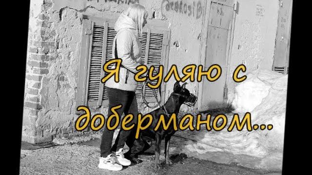 Я гуляю с доберманом )) Ё) Я гуляю с доберманом )) Ё)