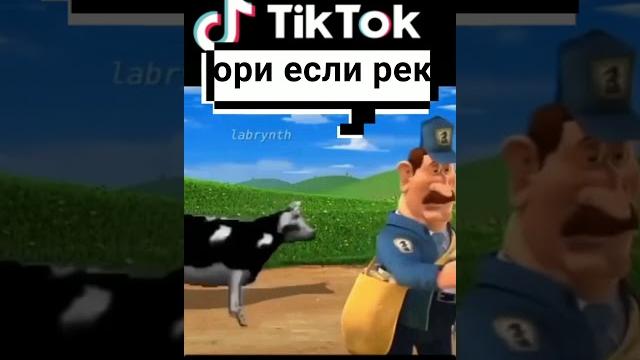 прикол с коровой прикол с коровой
