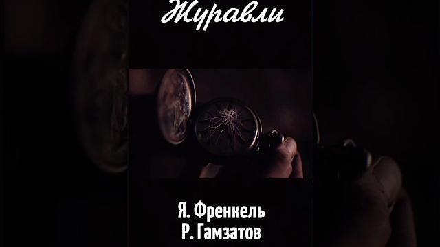 В этой песне ВСЁ #shorts #песниподгитару #советскиепесни #песниотвсейдуши #родина #журавли #любовь В этой песне ВСЁ #shorts #песниподгитару #советскиепесни #песниотвсейдуши #родина #журавли #любовь