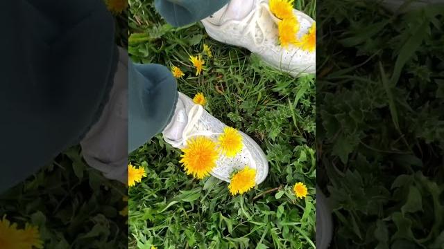 Мой любимый май #весна #май #видео #настроение # Мой любимый май #весна #май #видео #настроение #