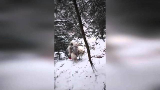 Yeti vs Йети. Всегда на вершине со ŠKODA Yeti! Yeti vs Йети. Всегда на вершине со ŠKODA Yeti!