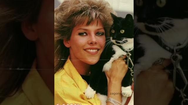 #cccatch #80smusic #80shits #cccatch #80smusic #80shits