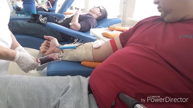 полезно ли сдавать кровь - быть донором крови полезно ли сдавать кровь - быть донором крови