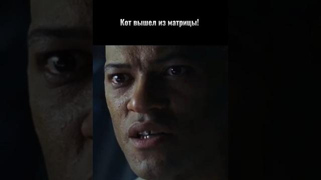 Кот вышел из матрицы! #юмор #приколы #видео #смех #мем #топ #звезда #котики #красота #нео #матрица Кот вышел из матрицы! #юмор #приколы #видео #смех #мем #топ #звезда #котики #красота #нео #матрица