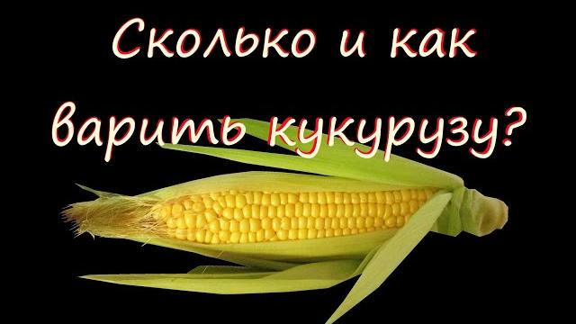 Сколько и как варить кукурузу. Советы Шеф повара. Сколько и как варить кукурузу. Советы Шеф повара.