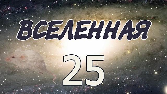 Эксперимент «Вселенная 25» Эксперимент «Вселенная 25»