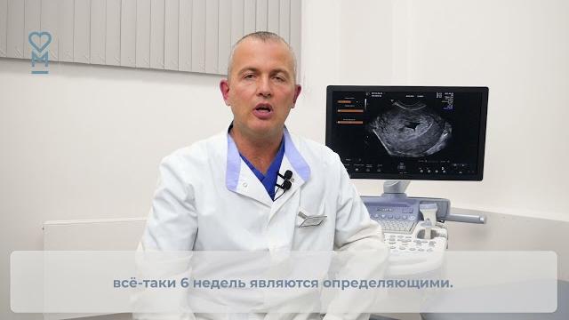 На каком сроке можно увидеть плодное яйцо на УЗИ На каком сроке можно увидеть плодное яйцо на УЗИ