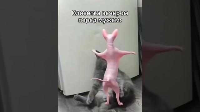 Настроение после процедуры лазерной эпиляция в нашей Косметологии #смешныевидео #юмор #косметолог Настроение после процедуры лазерной эпиляция в нашей Косметологии #смешныевидео #юмор #косметолог