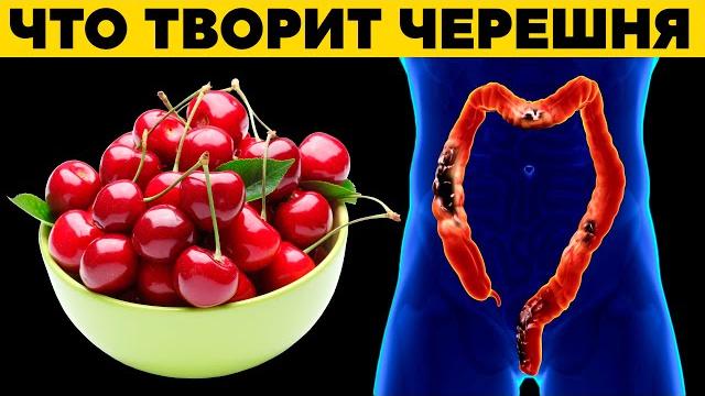 ЧЕРЕШНЯ: что творит с организмом? Почему нельзя выбрасывать листья, косточки и хвостики черешни? ЧЕРЕШНЯ: что творит с организмом? Почему нельзя выбрасывать листья, косточки и хвостики черешни?