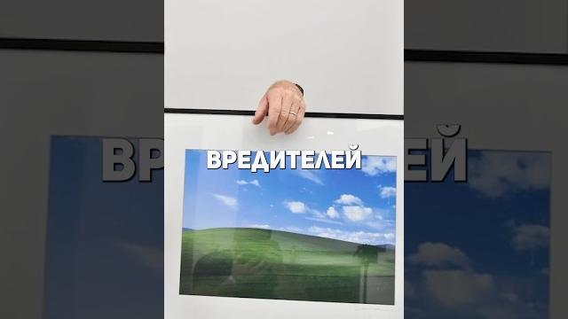 Как выглядит легендарный рабочий стол в 2025 году? Как выглядит легендарный рабочий стол в 2025 году?