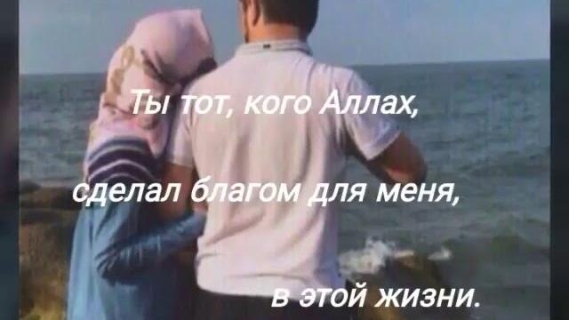 Посвящается мужу Посвящается мужу