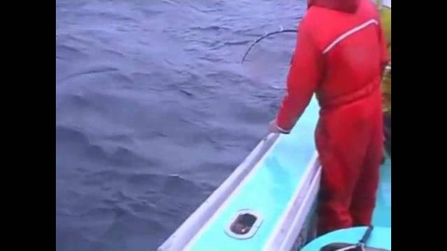 Промысел обыкновенного тунца в Канадских водах Промысел обыкновенного тунца в Канадских водах