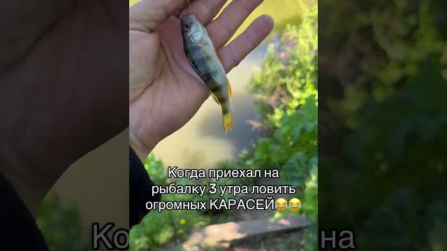 #рыбалка #рыбалканафидер #юмор #fishing #рыбалка #рыбалканафидер #юмор #fishing