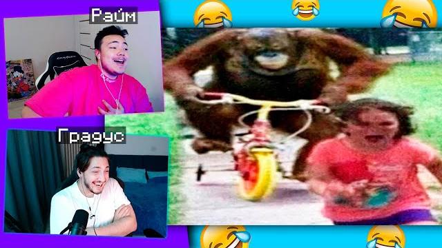 Реакция РАЙМА и ГРАДУСА На ОООЧЕНЬ СМЕШНЫЕ РОЛИКИ! Реакция РАЙМА и ГРАДУСА На ОООЧЕНЬ СМЕШНЫЕ РОЛИКИ!