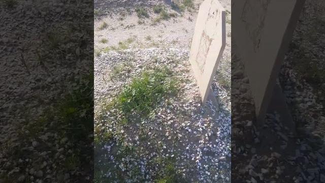 قبر الشهيد الشيخ فهد الأحمد الجابر الصباح -٢ قبر الشهيد الشيخ فهد الأحمد الجابر الصباح -٢