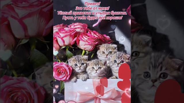 Доброе утро,хорошего дня открытки на каждый день #открытка #доброеутро #видеооткрытка #доброеутречко Доброе утро,хорошего дня открытки на каждый день #открытка #доброеутро #видеооткрытка #доброеутречко