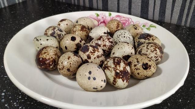 КАК ВАРИТЬ ПЕРЕПЕЛИНЫЕ ЯЙЦА КАК ВАРИТЬ ПЕРЕПЕЛИНЫЕ ЯЙЦА