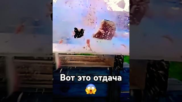 АРБУЗ ЗДОРОВО #мем #арбуз #прикол #shortsvideo АРБУЗ ЗДОРОВО #мем #арбуз #прикол #shortsvideo