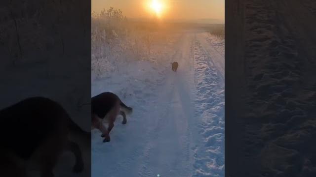Пусть думают, что мы спортсмены Пусть думают, что мы спортсмены