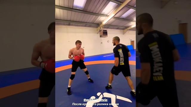 Мухаммад Мокаев УРОНИЛ ФАНАТА ! Мухаммад Мокаев УРОНИЛ ФАНАТА !
