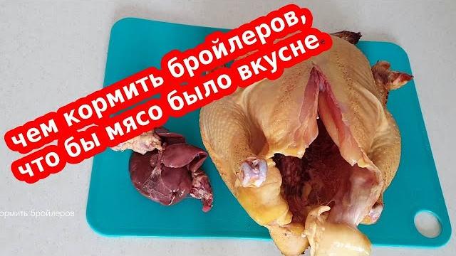 Чем кормить бройлеров, что бы мясо было вкуснее? Чем кормить бройлеров, что бы мясо было вкуснее?