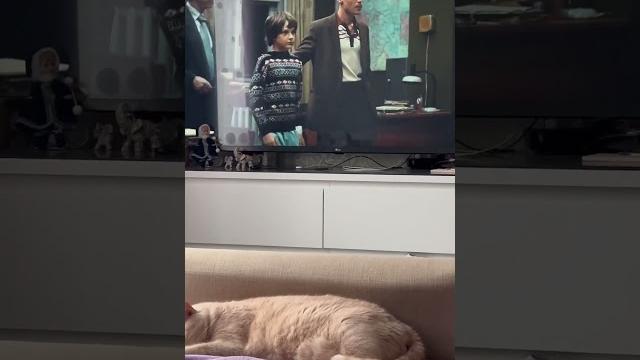 Кто Фишер в сериале Фишер #фишер Кто Фишер в сериале Фишер #фишер