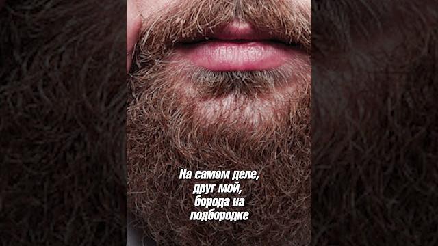 ТОП-5 глупых мифов о бороде / Часть 2 #борода ТОП-5 глупых мифов о бороде / Часть 2 #борода