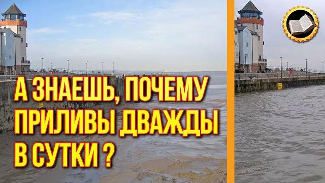 Почему приливы и отливы случаются дважды в сутки? Почему приливы и отливы случаются дважды в сутки?